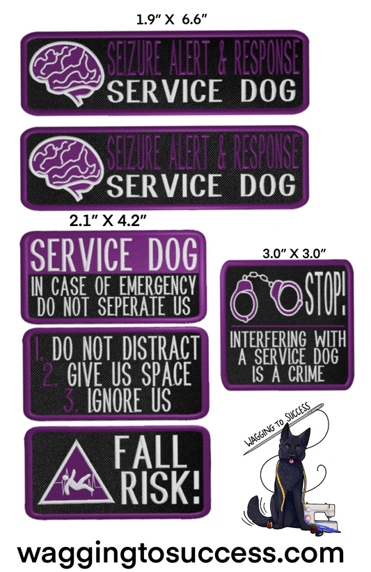 Seizure Alert & Response Patch Set